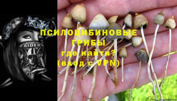 PSILOCYBIN Верхний Тагил